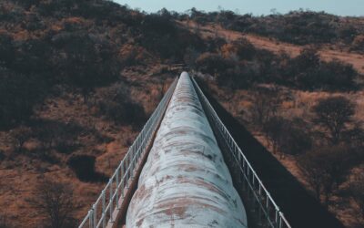 Zero fuel imports from Russia for the first month on record