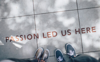 Spotlight on innovation